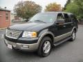 2003 Aspen Green Metallic Ford Expedition Eddie Bauer 4x4  photo #2