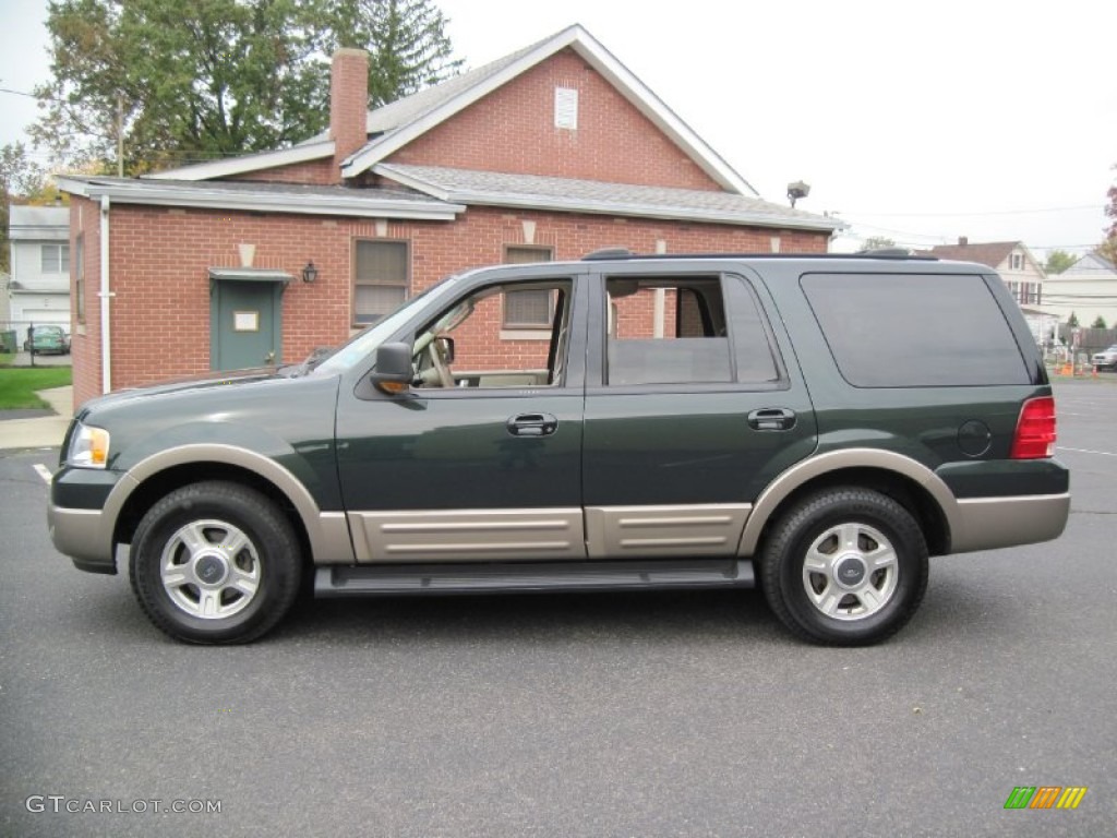 2003 Expedition Eddie Bauer 4x4 - Aspen Green Metallic / Medium Parchment photo #3