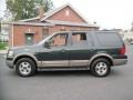 2003 Aspen Green Metallic Ford Expedition Eddie Bauer 4x4  photo #3