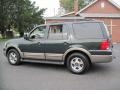2003 Aspen Green Metallic Ford Expedition Eddie Bauer 4x4  photo #4