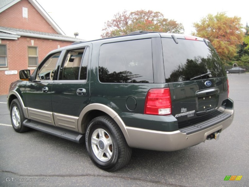 2003 Expedition Eddie Bauer 4x4 - Aspen Green Metallic / Medium Parchment photo #5