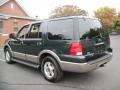 2003 Aspen Green Metallic Ford Expedition Eddie Bauer 4x4  photo #5
