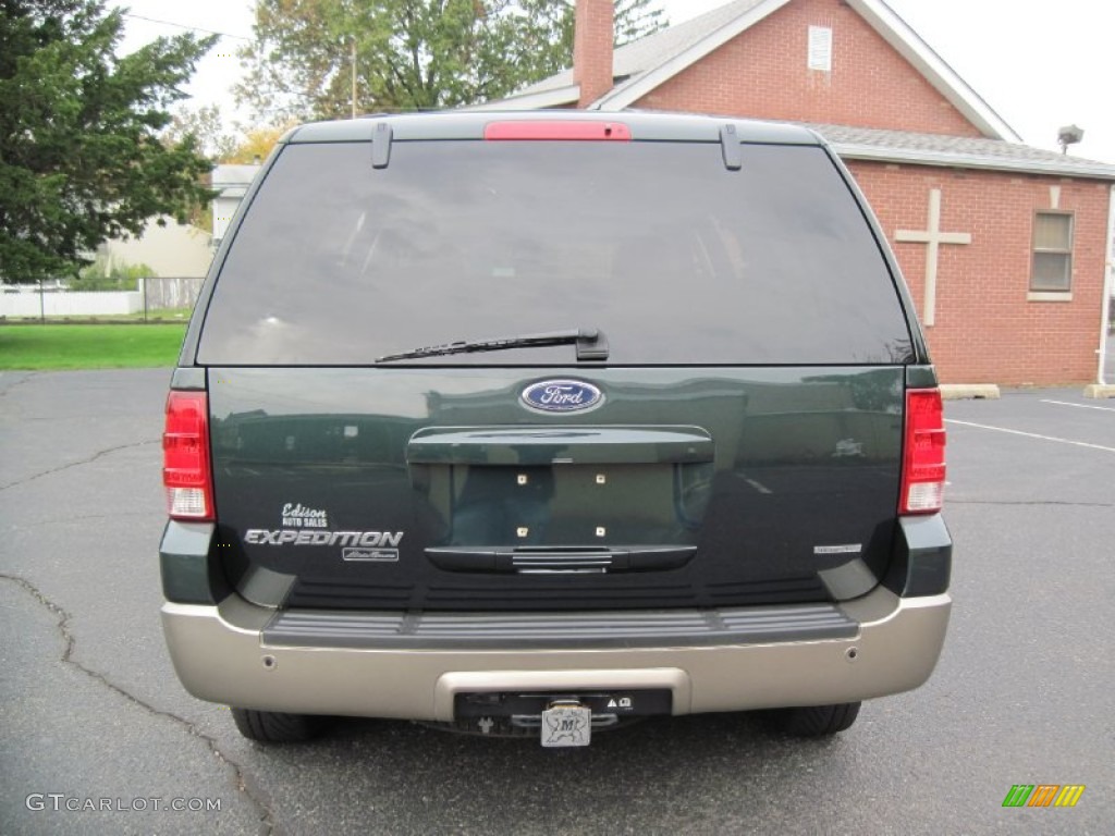 2003 Expedition Eddie Bauer 4x4 - Aspen Green Metallic / Medium Parchment photo #6