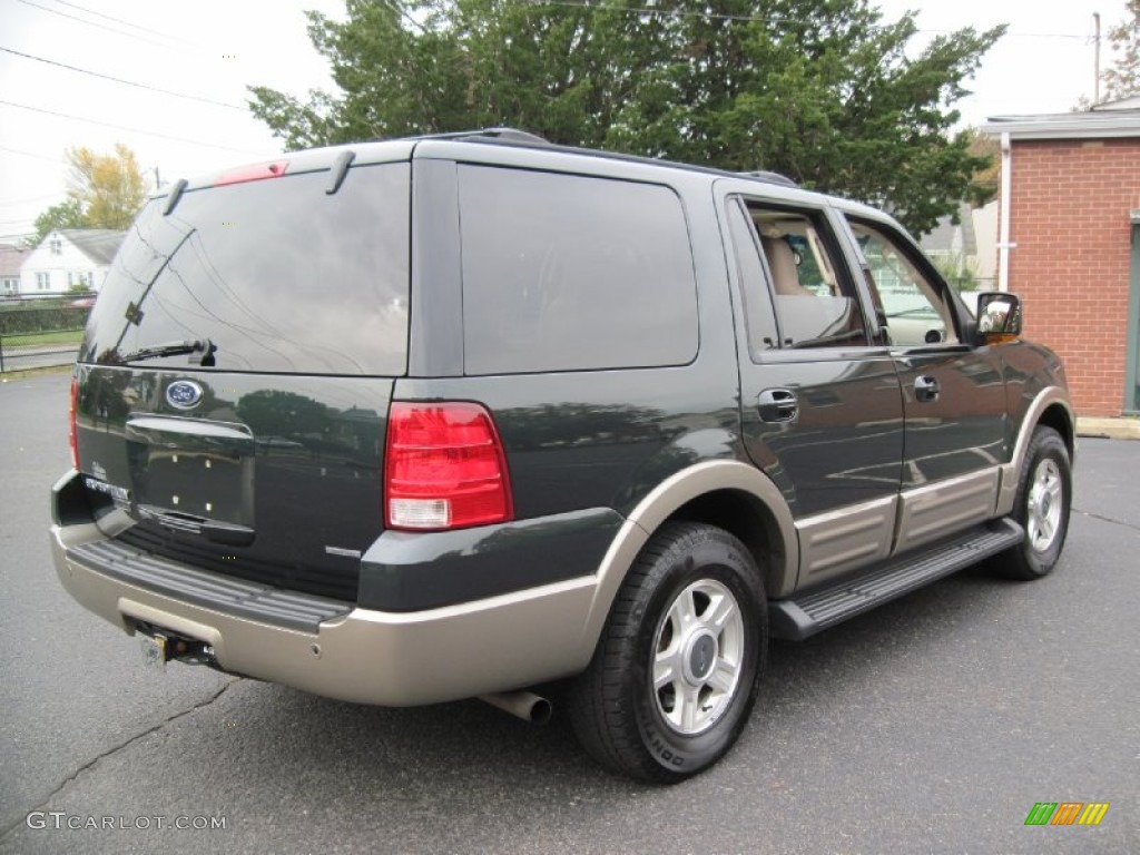 2003 Expedition Eddie Bauer 4x4 - Aspen Green Metallic / Medium Parchment photo #7