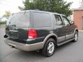 2003 Aspen Green Metallic Ford Expedition Eddie Bauer 4x4  photo #7