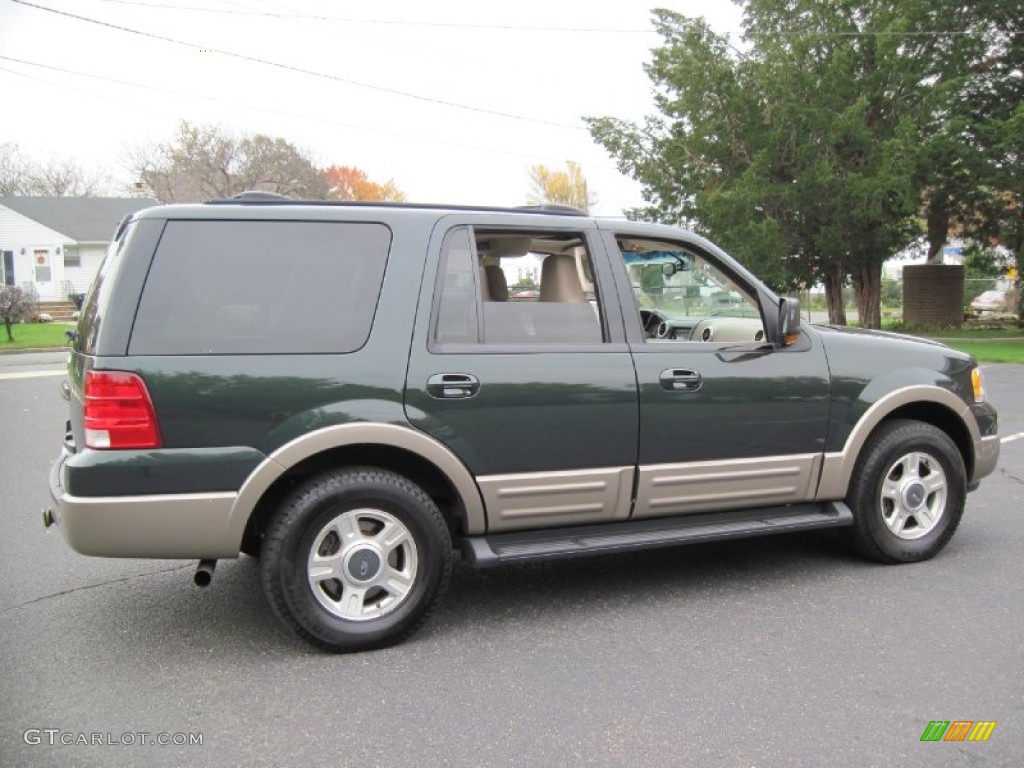 2003 Expedition Eddie Bauer 4x4 - Aspen Green Metallic / Medium Parchment photo #8