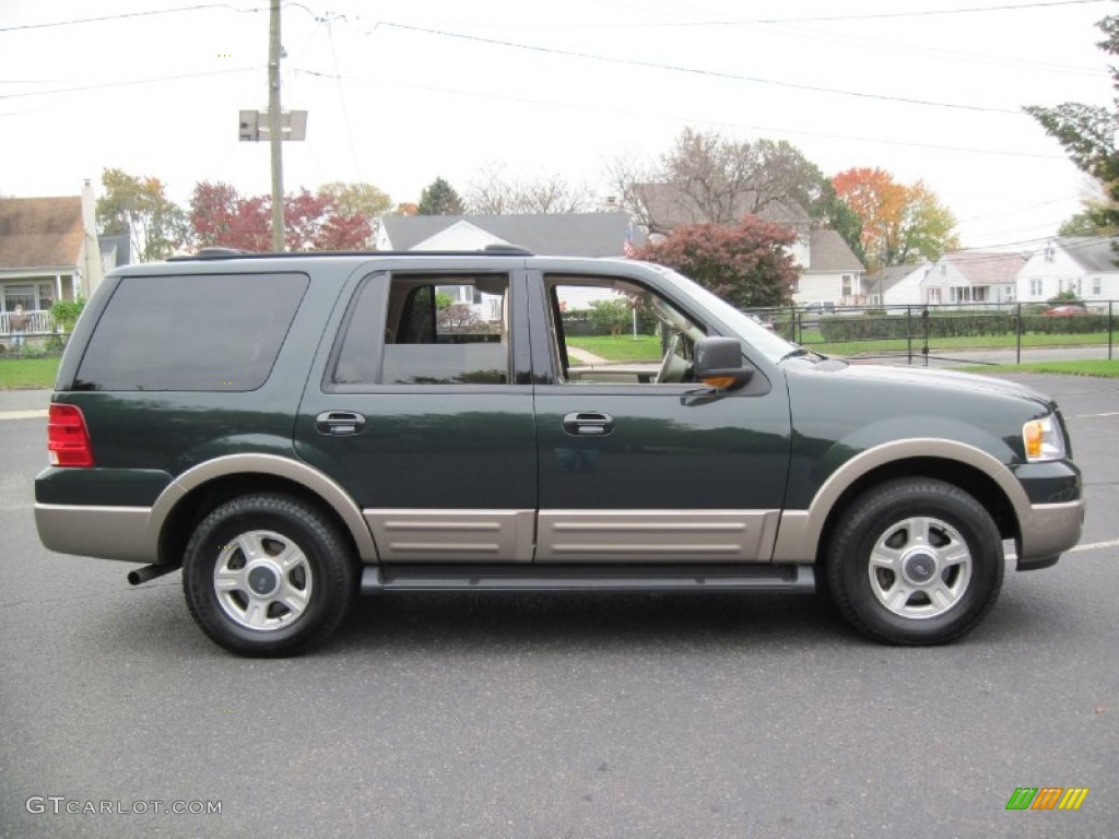 2003 Expedition Eddie Bauer 4x4 - Aspen Green Metallic / Medium Parchment photo #9
