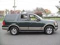 2003 Aspen Green Metallic Ford Expedition Eddie Bauer 4x4  photo #9