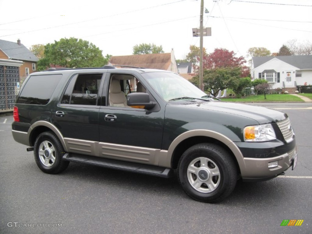 2003 Expedition Eddie Bauer 4x4 - Aspen Green Metallic / Medium Parchment photo #10