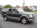 2003 Aspen Green Metallic Ford Expedition Eddie Bauer 4x4  photo #10