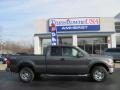 Dark Stone Metallic - F150 XLT SuperCab 4x4 Photo No. 5