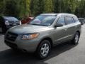 Natural Khaki Green - Santa Fe GLS Photo No. 1