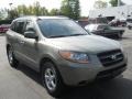 Natural Khaki Green - Santa Fe GLS Photo No. 15