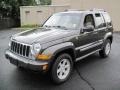 2005 Dark Khaki Pearl Jeep Liberty Limited 4x4  photo #2