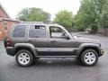 2005 Dark Khaki Pearl Jeep Liberty Limited 4x4  photo #9