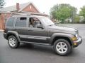 2005 Dark Khaki Pearl Jeep Liberty Limited 4x4  photo #10