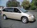 2007 Linen Gold Metallic Dodge Grand Caravan SXT  photo #12