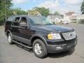 Black Clearcoat - Expedition XLT 4x4 Photo No. 11