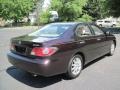 Black Garnet Pearl - ES 300 Photo No. 8