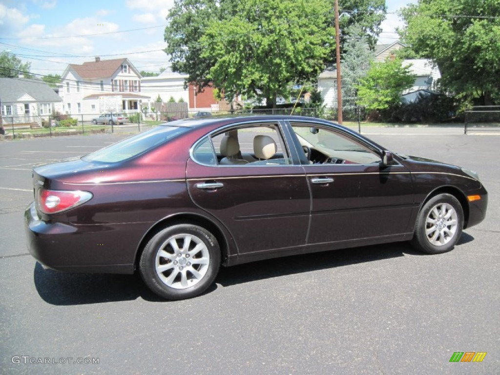 2002 ES 300 - Black Garnet Pearl / Ivory photo #9