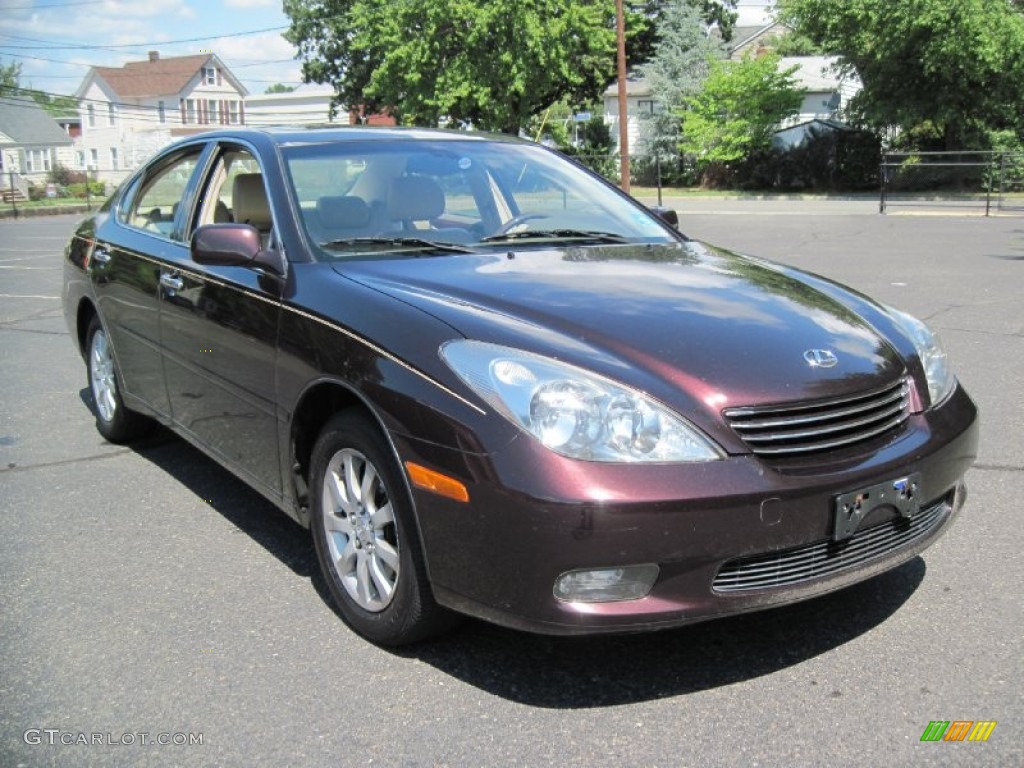 2002 Black Pearl Lexus ES 300 56610290 Photo 12