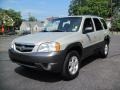Pebble Ash Metallic - Tribute LX-V6 4WD Photo No. 2