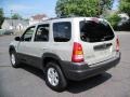 Pebble Ash Metallic - Tribute LX-V6 4WD Photo No. 5