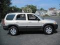 Pebble Ash Metallic - Tribute LX-V6 4WD Photo No. 9