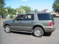 Estate Green Metallic - Mountaineer Convenience AWD Photo No. 4