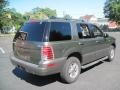 Estate Green Metallic - Mountaineer Convenience AWD Photo No. 7