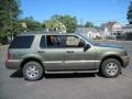 Estate Green Metallic - Mountaineer Convenience AWD Photo No. 9