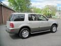 Silver Birch Metallic - Mountaineer AWD Photo No. 8