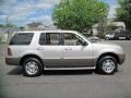 Silver Birch Metallic - Mountaineer AWD Photo No. 9