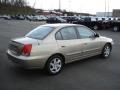 Champagne Metallic - Elantra GLS Sedan Photo No. 6