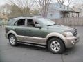 Ivy Green Metallic - Sorento EX 4WD Photo No. 10