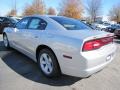 Bright Silver Metallic - Charger SE Photo No. 2
