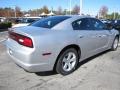 Bright Silver Metallic - Charger SE Photo No. 3