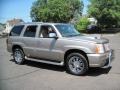 Silver Sand - Escalade AWD Photo No. 10