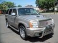 Silver Sand - Escalade AWD Photo No. 11