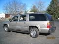 2003 Light Pewter Metallic Chevrolet Suburban 1500 LT 4x4  photo #4