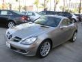 2008 Pewter Metallic Mercedes-Benz SLK 280 Roadster  photo #5