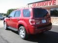 2009 Redfire Pearl Ford Escape XLT V6 4WD  photo #4