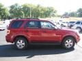 2009 Redfire Pearl Ford Escape XLT V6 4WD  photo #14