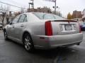 Light Platinum - STS 4 V6 AWD Photo No. 5