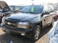 Black - TrailBlazer LS 4x4 Photo No. 18