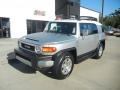 2008 Titanium Metallic Toyota FJ Cruiser   photo #2