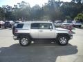 Titanium Metallic - FJ Cruiser  Photo No. 4