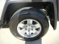 Titanium Metallic - FJ Cruiser  Photo No. 8