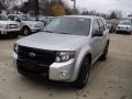 2012 Ingot Silver Metallic Ford Escape XLT Sport  photo #1