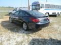 Pacific Blue Pearl - Sonata GLS Photo No. 7